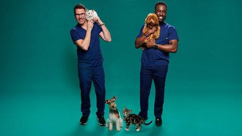 Fur Babies filmas žiurėti online