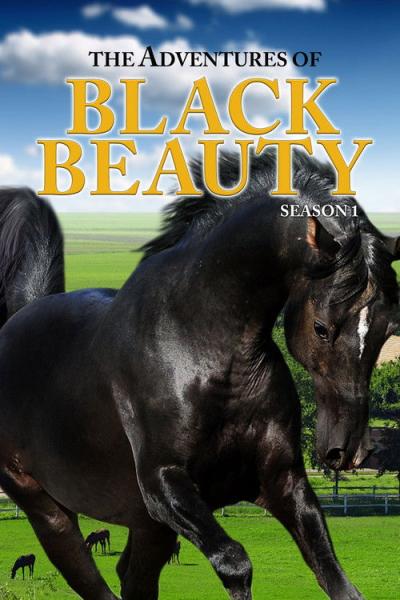 The Adventures of Black Beauty filmas online