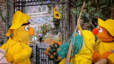 Sesame Street