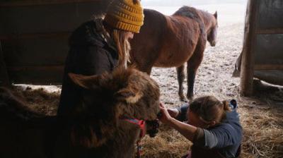 The Incredible Dr. Pol