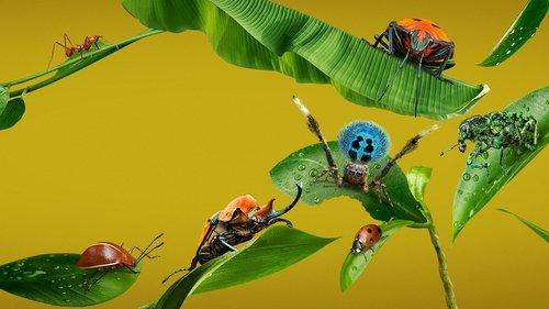 A Real Bug's Life filmas žiurėti online