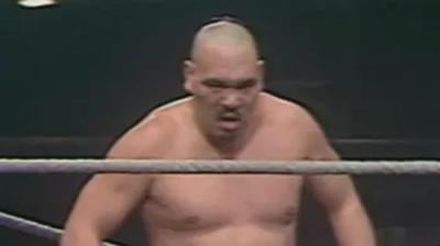 WWF All-Star Wrestling