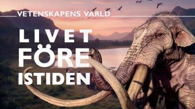 Vetenskapens värld