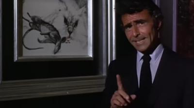 Night Gallery