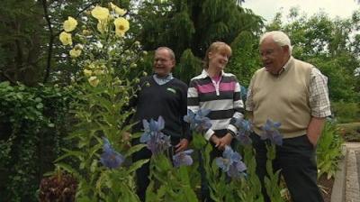 The Beechgrove Garden