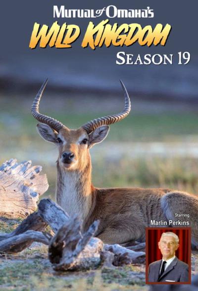 Mutual of Omaha's Wild Kingdom filmas online