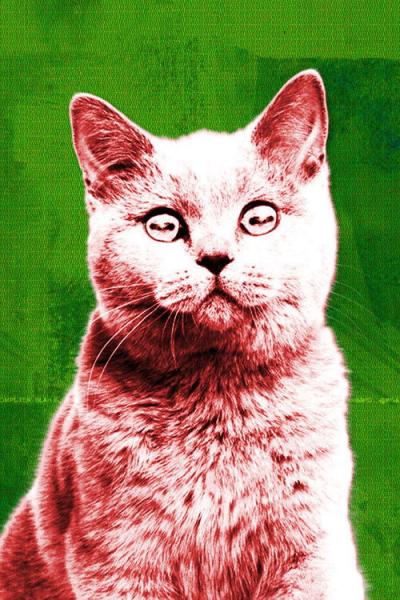 Off the Air filmas online