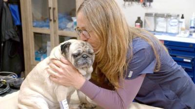 Dr. Oakley, Yukon Vet