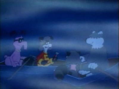 The Raccoons