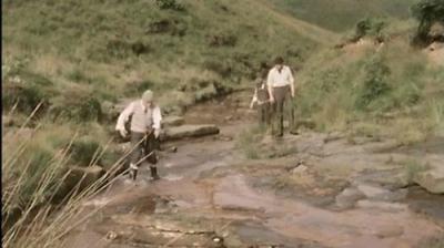 Last of the Summer Wine