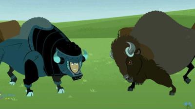 Wild Kratts
