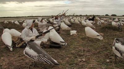 Texas Parks and Wildlife
