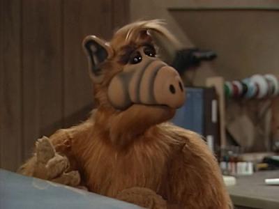 ALF
