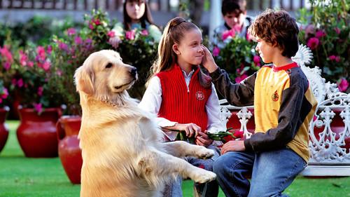 De Pocas Pocas Pulgas filmas žiurėti online