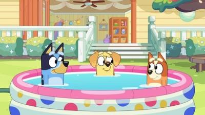 Bluey Minisodes