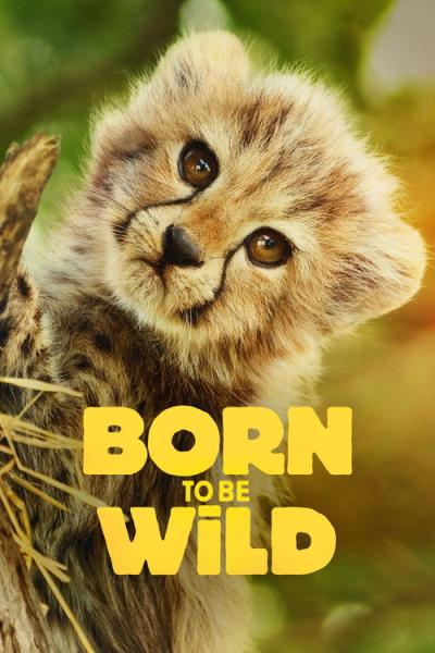 Born to Be Wild filmas online
