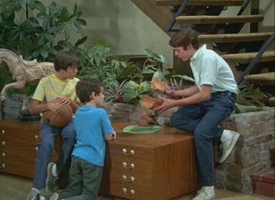 The Brady Bunch
