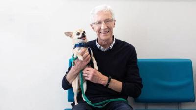 For the Love of Dogs