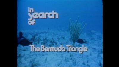 In Search of...