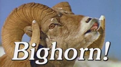 Marty Stouffer's Wild America