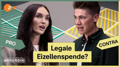 13 Fragen
