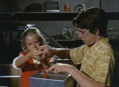 The Brady Bunch