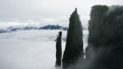 One Strange Rock