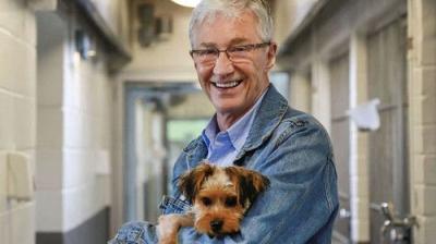 For the Love of Dogs