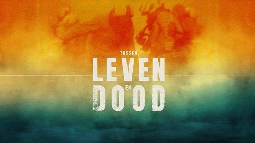 Tussen Leven en Dood filmas žiurėti online