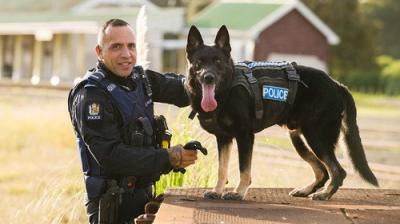Dog Squad