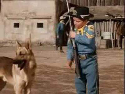 The Adventures of Rin Tin Tin