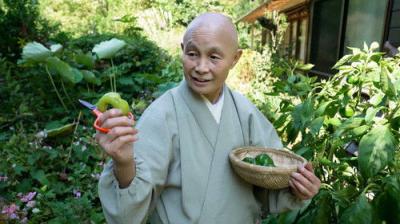 NHK Documentary