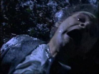 Are You Afraid of the Dark?