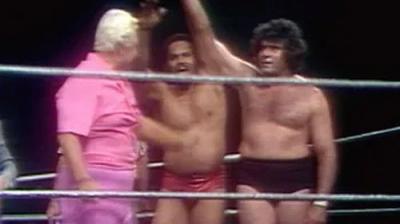 WWF All-Star Wrestling
