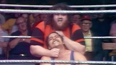 WWF All-Star Wrestling