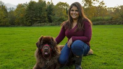 The Supervet: Noel Fitzpatrick