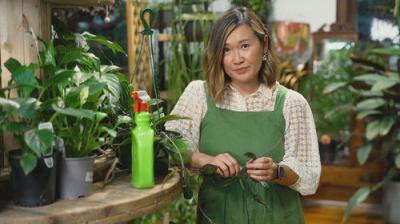 Gardening Australia