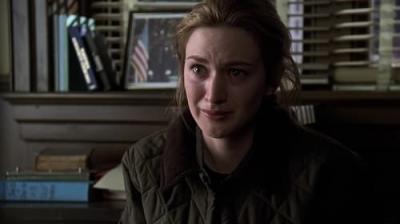 Įstatymas ir tvarka. Specialiųjų tyrimų skyrius