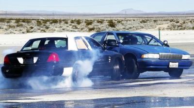Roadkill
