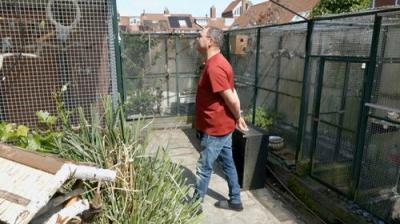 Mr. Frank Visser doet Uitspraak