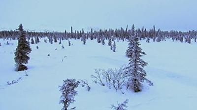 Mountain Men