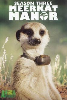 Meerkat Manor filmas online