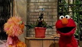 Sesame Street