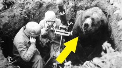 Histoires de Guerre