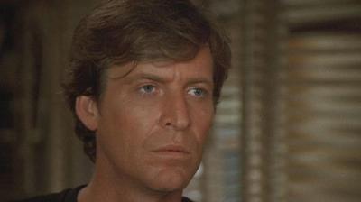 In the Heat of the Night