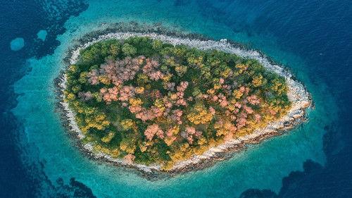 Ushuaïa Nature filmas žiurėti online