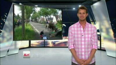 Tosh.0