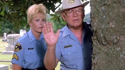 In the Heat of the Night