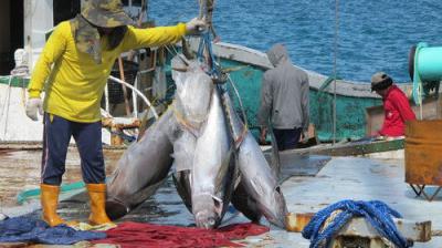 Foreign Correspondent