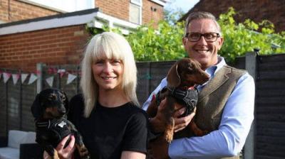 Dogs Behaving (Very) Badly